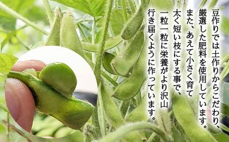 ≪2026年先行予約≫【與惣兵衛】山形県産 神の枝豆 だだちゃ豆 約1.5kg 2026年8月上旬から順次発送 F2Y-5461
