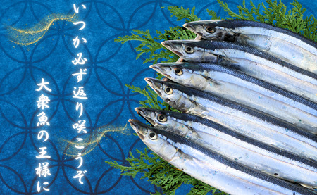 さんま 丸干 40尾 下剋上さんま 冷凍