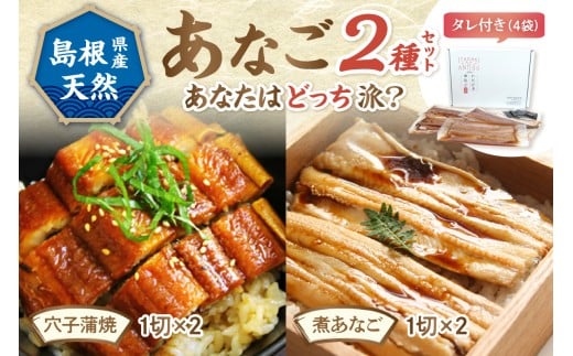 あなご2種セット 魚介類 魚 穴子 蒲焼き 煮穴子 セット 食べ比べ 【156_2012】