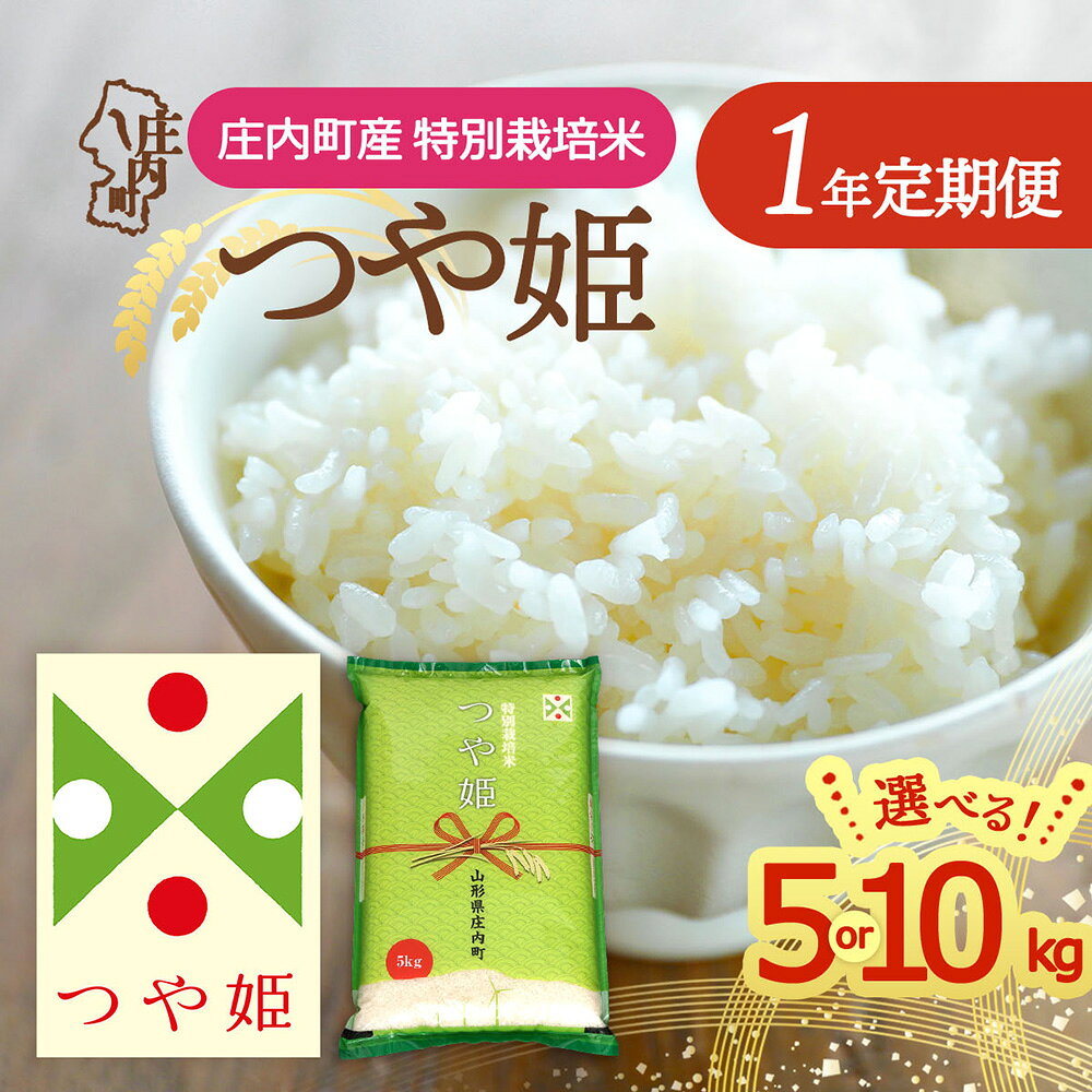 【ふるさと納税】【定期便】＜令和8年産＞つや姫 5kg 10kg×1年間 毎月お届け 特別栽培米 山形県庄内町産 庄内米 ブランド米 米 コシヒカリの原点、亀の尾発祥の地 お米の定期便 ごはん 粘り 甘み 香り 粒が大きい【毎月下旬発送】