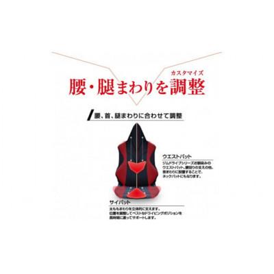 ふるさと納税 蒲郡市 自動車用シートクッション アメージングGT アルティメット　レッド×イタリアカラー_【G0062】 |  | 02