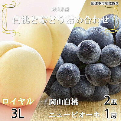 【ふるさと納税】岡山白桃 ロイヤル 2玉×約300g（3Lサイズ、早生種・中生種）ニューピオーネ 1房約600g 詰合せ 岡山県産　【 果物類 ぶどう ブドウ 種なし もも モモ フルーツ デザート 食後 おやつ 産地直送 】　お届け：2026年7月上旬～2026年8月20日
