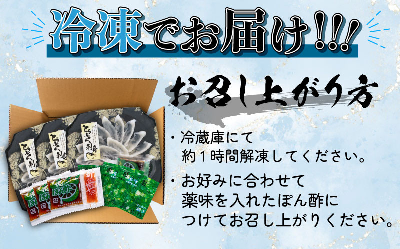 ふぐ 刺身 3人前 3皿 冷凍 とらふぐ 刺し てっさ 低カロリー ( 解凍するだけ 個包装 とらふぐ トラフグ フグ刺し 刺し身 てっさ 魚介 鮮魚 海鮮 高級魚 冬 ) 父の日 山口県 下関市