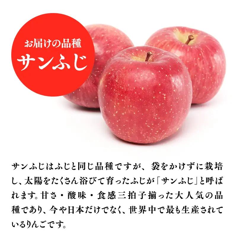 りんご 家庭用　サンふじ５kg りんご