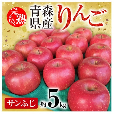 
「青森県五戸町産」サンふじりんご　約5kg(12～20玉)【1101259】
