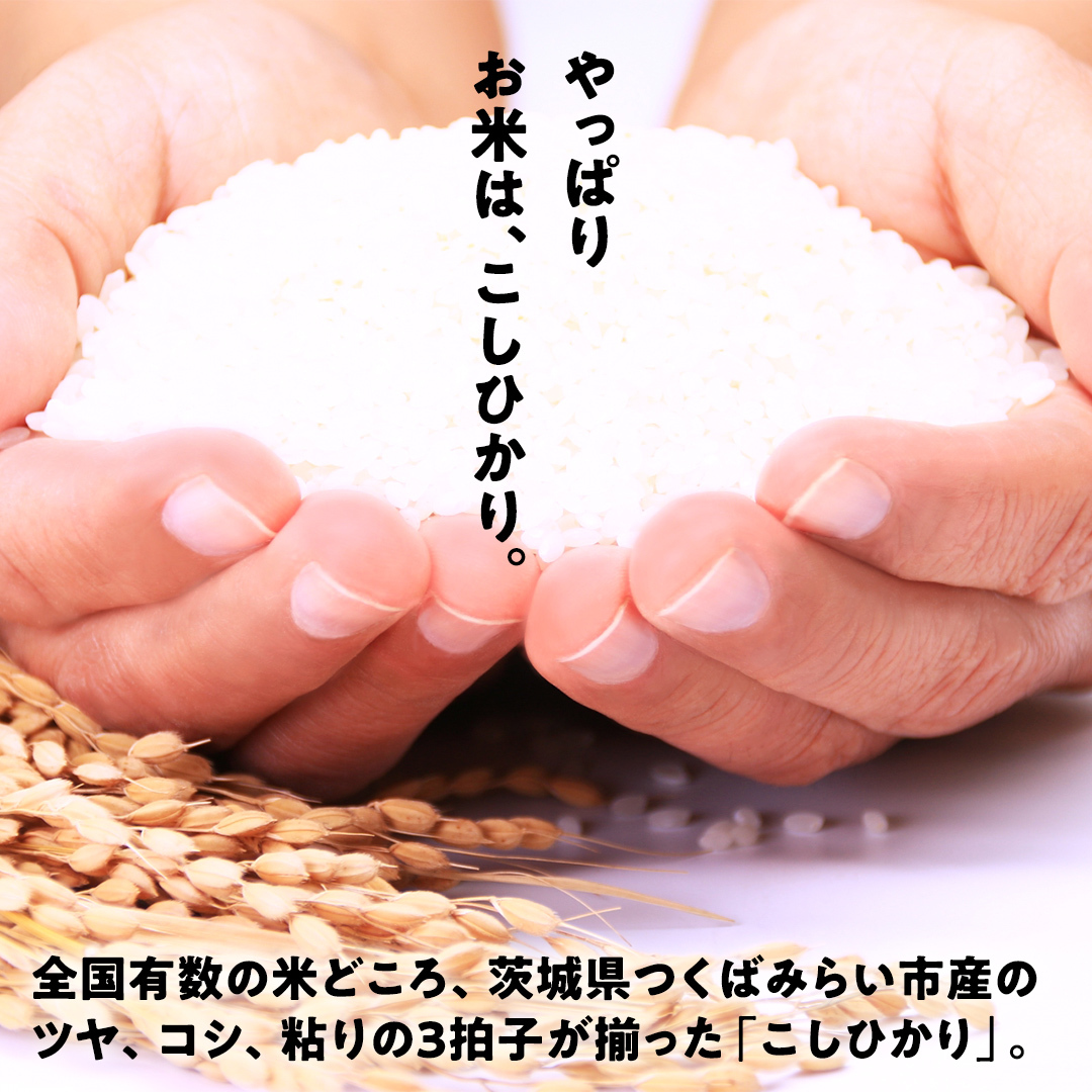 ＼ 最短 2日で発送 ／ コシヒカリ 5kg 令和6年産精米【 数量限定 】茨城県つくばみらい市産 米 コメ 単一米 12000 茨城県産 国産 即納 スピード配送 すぐ届く 発送 早い 即発送 コス