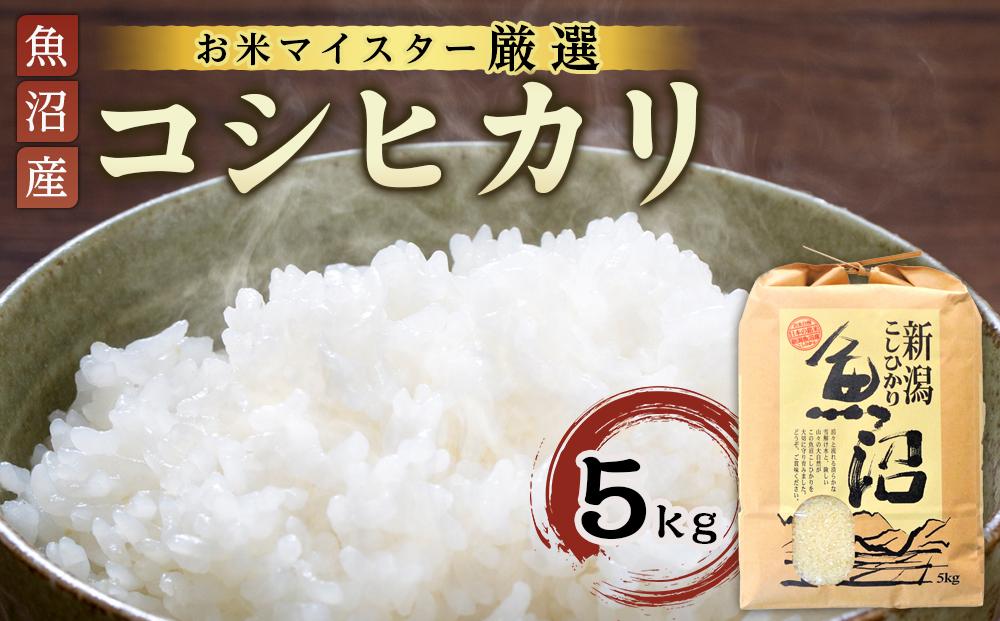 令和6年産【お米マイスター厳選】魚沼産コシヒカリ 5Kg