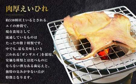 【全3回定期便】出島屋の肉厚えいひれ 3袋セット (130g) ／ えい エイヒレ おつまみ 珍味 乾物 干物 長崎県 長崎市