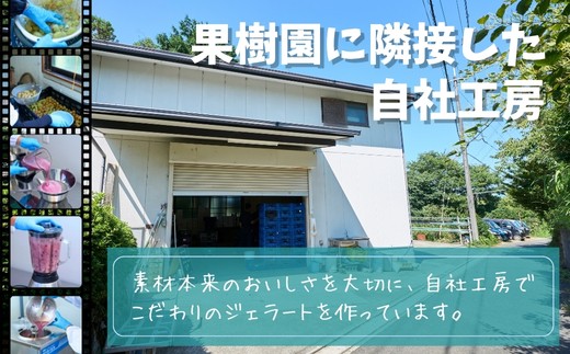 果樹園に隣接した自社工房