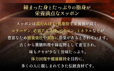 すっぽん 約700g すっぽん鍋 