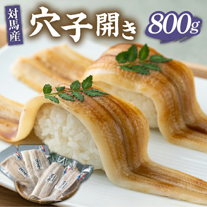 【ふるさと納税】対馬 アナゴ 穴子 開き 800g《対馬市》【海風商事】あなご 国産 九州 長崎 海産物 魚 [WAD012] 18000 18000円