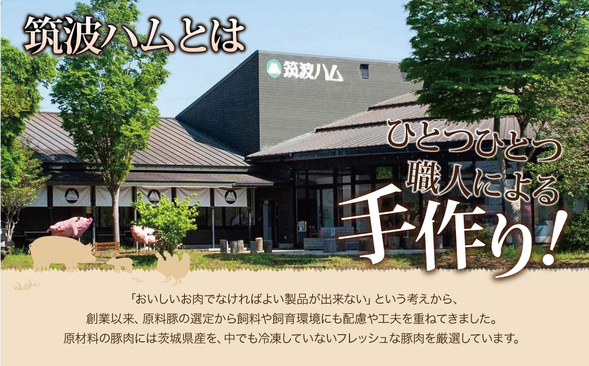 【 筑波ハム 】 ブルーベリー ご褒美ヨーグルト ギフトセット【 筑波ハム ヨーグルト クリームチーズ チーズ ブルーベリー ご褒美 乳 腸活 美容 健康 ギフト 贈答 茨城県産 国産 つくば市 】