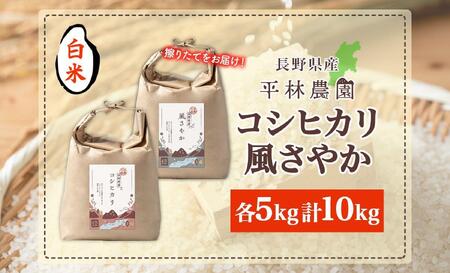 <先行予約>令和7年産 コシヒカリ 風さやか 白米 各5kg 長野県産 米 精米 お米 ごはん ライス 甘み 農家直送 産直 信州 人気 ギフト お取り寄せ 平林農園 送料無料 長野県 大町市
