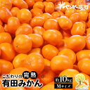 【ふるさと納税】＼光センサー選別／完熟有田みかんMサイズ 約10kg 有機質肥料100%※2024年11月中旬～2025年1月上旬頃に順次発送予定※着日指定不可※沖縄・離島への配送不可 ふるさと納税 ミカン