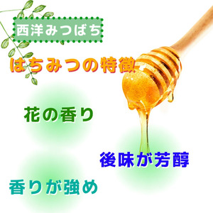 GD002_【2025年7月以降発送】日本蜜蜂の純粋はちみつ＊西洋蜜蜂のはちみつ　食べ比べセット　３００ｇ×各１　日本蜜蜂の蜜蝋４０ｇ付き