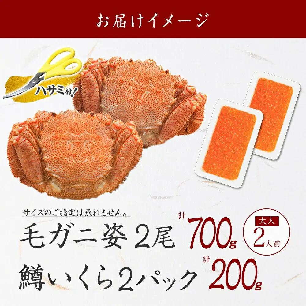 毛蟹 2尾 計700g前後 鱒いくら醤油漬け 200g 専用ハサミ・食べ方ガイド付き 毛ガニ 毛がに 蟹 カニ 鱒いくら いくら 醤油漬け ボイル 北海道 弟子屈町 3629