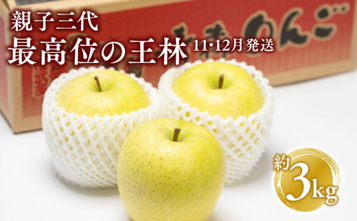 【11月・12月発送】  親子三代最高位の王林 約3kg【全国ふじコンテスト最高賞受賞農園 青森県 平川市 釈迦のりんご園】王林 全国ふじコンテスト最高賞受賞 青森りんご 平川市広船産 家庭用 リンゴ りんご リンゴ 林檎 フルーツ 果物 平川市 青森 