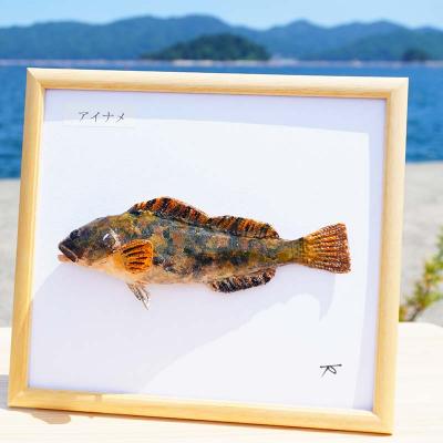ふるさと納税 山田町 手作り 本物そっくり魚の模型 1点 |  | 01