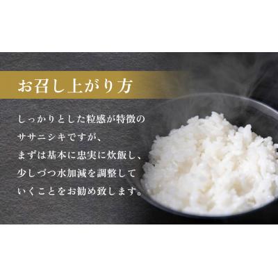 ふるさと納税 石巻市 米 令和7年産 石巻産 ササニシキ 精米 10kg (5kg×2袋) お米 白米 |  | 02