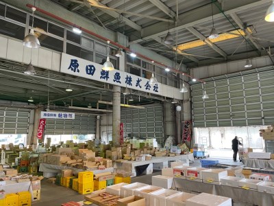 【愛知県三河一色産】活うなぎの白焼き 1尾（約150g） （11-54）