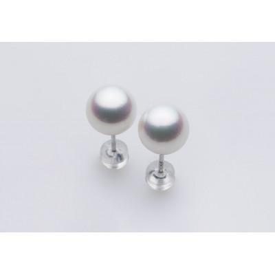 ふるさと納税 長崎市 PT900 / 8.0mm アコヤ真珠　ピアス
