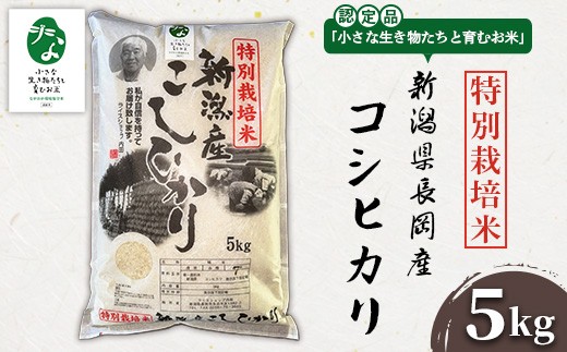 
                  P1-01A新潟県長岡産特別栽培米コシヒカリ 5kg【「小さな生き物たちと育むお米」認証品】
                