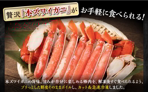 ※賞味期限2025年11月30日　ずわいがに棒肉ポーション　【500g】