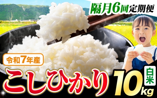 【隔月6回定期便】令和7年産  白米 こしひかり 10kg《お申込み翌月から出荷》熊本県産 ふるさと納税 白米 精米 米 こめ ふるさとのうぜい コシヒカリ コメ お米 おこめ