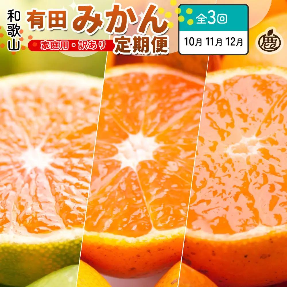 家庭用 柑橘定期便SS（10～12月）全3回【みかん定期便お試し版】 ［IKE299］