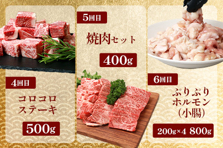 【 定期便 全10回 】 10ヶ月連続でお届け！ 牛肉 オール椎葉牛大満足セット 総重量 5,180g 【 日本三大秘境 椎葉村 育ちの黒毛和牛 】[ 牛肉 ステーキ 精肉 ホルモン モモ肉 ヒレ肉 