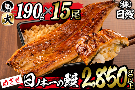 日ノ本一の鰻の蒲焼き＜大＞計15尾セット(計2,850g以上) うなぎ 鰻 ウナギ 国産 鹿児島県産 九州産 蒲焼き 冷凍 うな重 ひつまぶし wa24-006