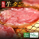 【ふるさと納税】【6回定期便】【塩だれ】九州産和牛の牛タン 約1kg（約250g×4パック）国産 牛 タン たん 和牛＜岩永ホルモン＞ [EAX082] 味付き 薄切り スライス