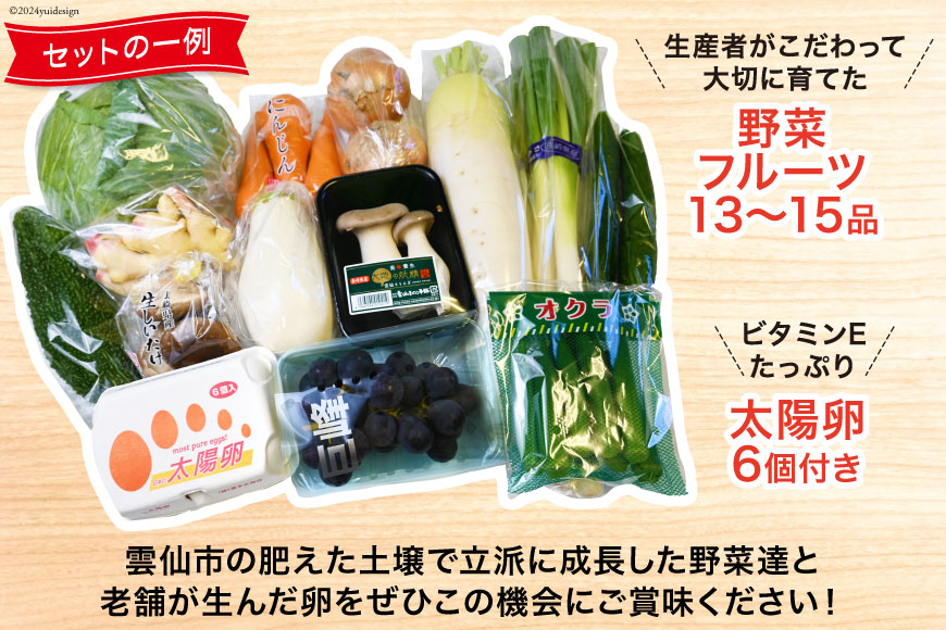 【12回毎月コース】旬の野菜・フルーツセット 野菜 定期便 【太陽卵6個付き】 13品目から15品目の豪華セット [長崎県農産品流通 長崎県 雲仙市 item2222] 野菜 定期 野菜セット フルー