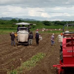 【本格焼酎】南之方【鹿児島限定】1800ml×3本　B5-10_酒・アルコール 芋焼酎 焼酎 _【配送不可地域：離島】【1605261】