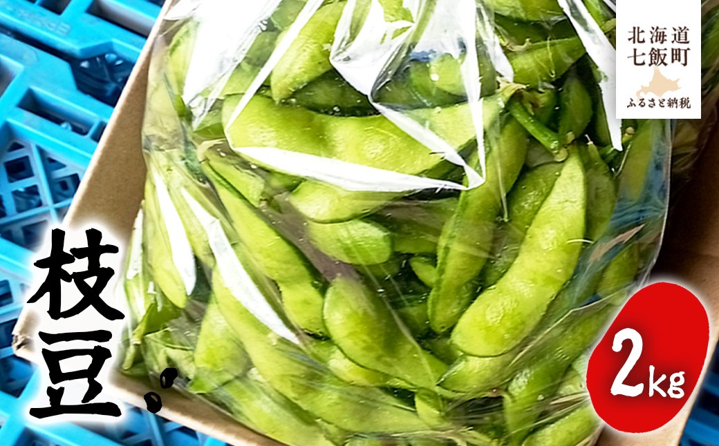 
            【先行予約 令和8年8月中旬より順次発送】 北海道産 枝豆500g×4 おいしい！ 【 ふるさと納税 人気 おすすめ ランキング えだまめ 2kg 栄養 おつまみ 岡田農場 北海道産 北海道 七飯町 送料無料 】 NAZ021
          