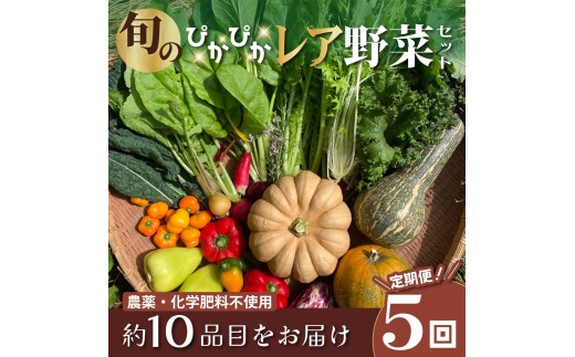 農薬化学肥料不使用 雲の上ガーデンのぴかぴか野菜セット（５回お届け）季節にあわせて10品目前後を毎月お届け【L002】季節 旬 詰め合わせ 採れたて 新鮮 産地直送 高知県産 冷蔵便 定期便