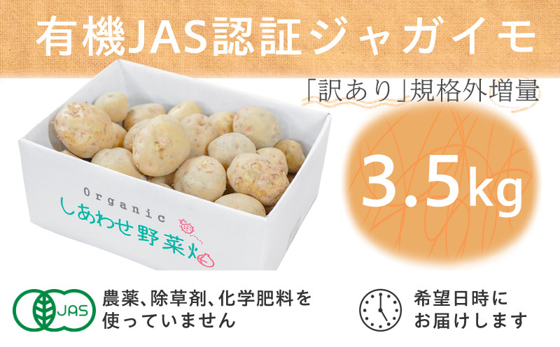 
            ＜フードロス対応・規格外＞有機ジャガイモ 3kg　訳あり    季節限定(12～3月発送)【1568581】
          