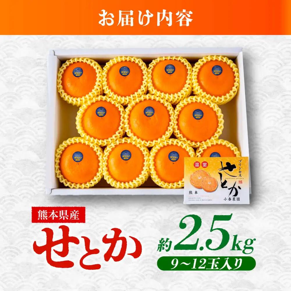 27年2月下発送 せとかみかん約2.5kg化粧箱入り せとか果物ギフトZBN002