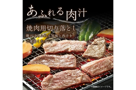 京都産和牛　焼肉用切り落とし　約450ｇ　【京都モリタ屋専用牧場】