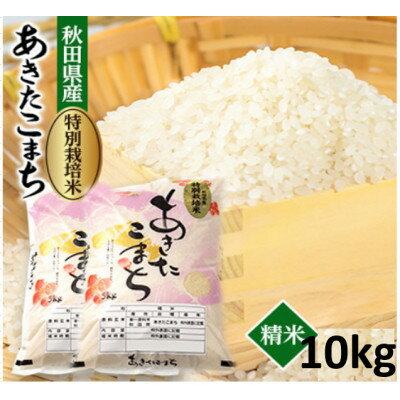 【ふるさと納税】【2ヵ月毎定期便】特別栽培米あきたこまち10kg(5kg×2)全3回【配送不可地域：離島・沖縄県】【4081430】