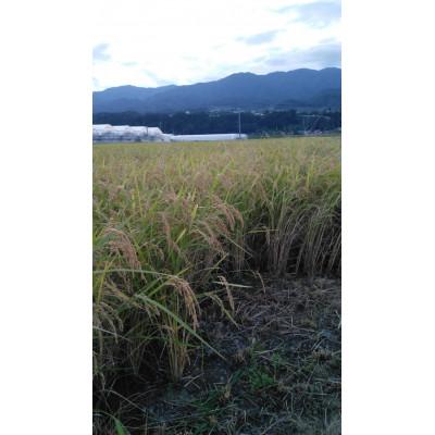 ふるさと納税 豊丘村 《先行予約》令和8年産　牧場の「あきたこまち」南信州豊丘村　精米5kg |  | 02