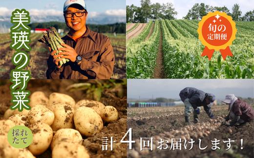 【令和８年産予約受付！】～美瑛の四季～ 野菜の定期便【白樺】4回便[036-46]