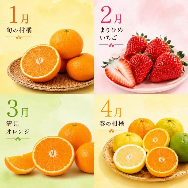 【旬のくだもの定期便】和歌山県の旬のフルーツを毎月お届け！　全12回【Ｓ】（配送日時指定不可）※北海道・沖縄・離島への配送不可 / 定期便 フルーツ みかん いちご イチゴ セミノール 河内晩柑 すい
