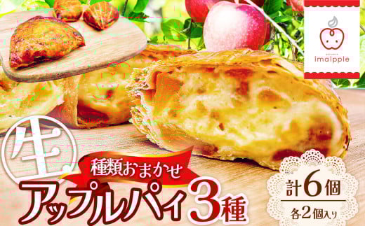 【種類お任せ】生 アップル パイ３種類 6個セット（ 各２個 入り ）｜ 菓子 ふるさと納税 お菓子 デザート 信州 林檎  おやつ アップルパイ クリーム 季節 人気 フルーツ スイーツ 洋菓子 ご当地 長野県 松本市
