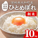 【ふるさと納税】＜令和6年産 新米＞ ひとめぼれ 10kg お米 おこめ 米 コメ 白米 ご飯 ごはん おにぎり お弁当【赤間農業開発株式会社】ta461