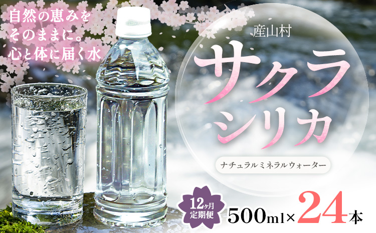 【12ヶ月定期便】サクラシリカ 500ml × 24本 みずの里《お申込み月の翌月から出荷開始》熊本県 阿蘇郡 産山村 ミネラルウォーター シリカ 水 天然水 鉱水 ラベルレス ラベルなし---ubuyama_mzs_14_24p_mo12---