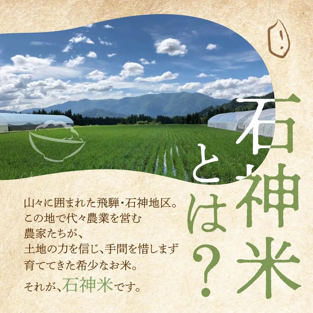 令和8年産 米 石神米 コシヒカリ10kg / 米 コシヒカリ