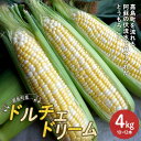 【ふるさと納税】【先行予約】嘉島町産ドルチェドリーム4kg ※令和7年4月中旬より発送開始 野菜 とうもろこし トウモロコシ 甘い ジューシー ドルチェドリーム 嘉島町 FKK19-939