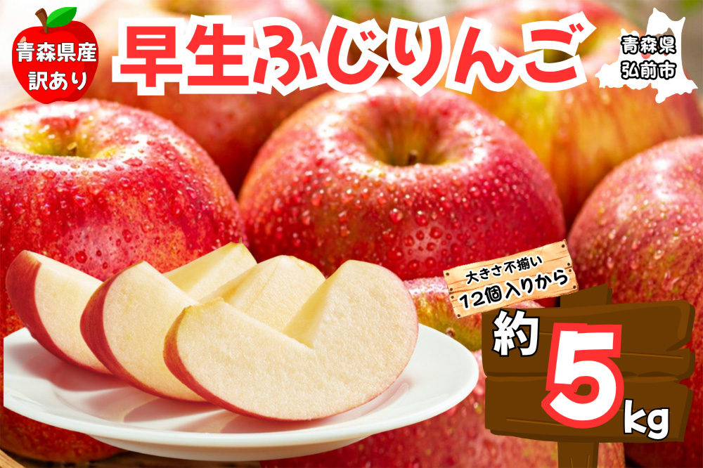 りんご【訳あり ご家庭用】早生ふじ 5kg 青森県産 青森 果物 フルーツ 林檎 リンゴ くだもの