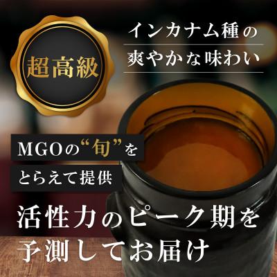 ふるさと納税 和泉市 【2ヵ月毎定期便】インカナム マヌカハニー【MGO220+】250g×2個　全6回 |  | 01